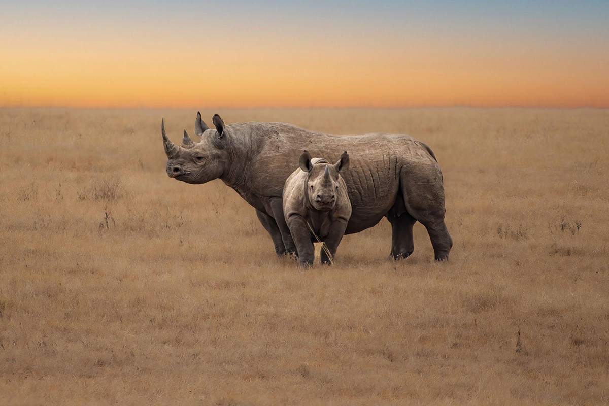 ngorongoro crater