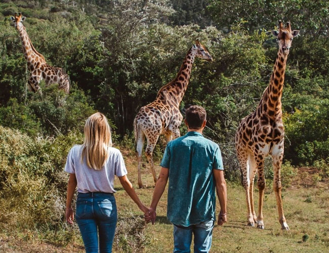 Honeymoon safari in Tanzania