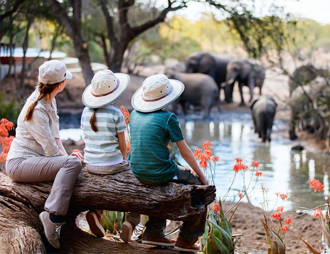 Family safari in Tanzania