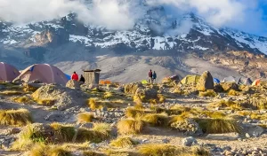 9 Days Mount Kilimanjaro Trek via the Machame Route
