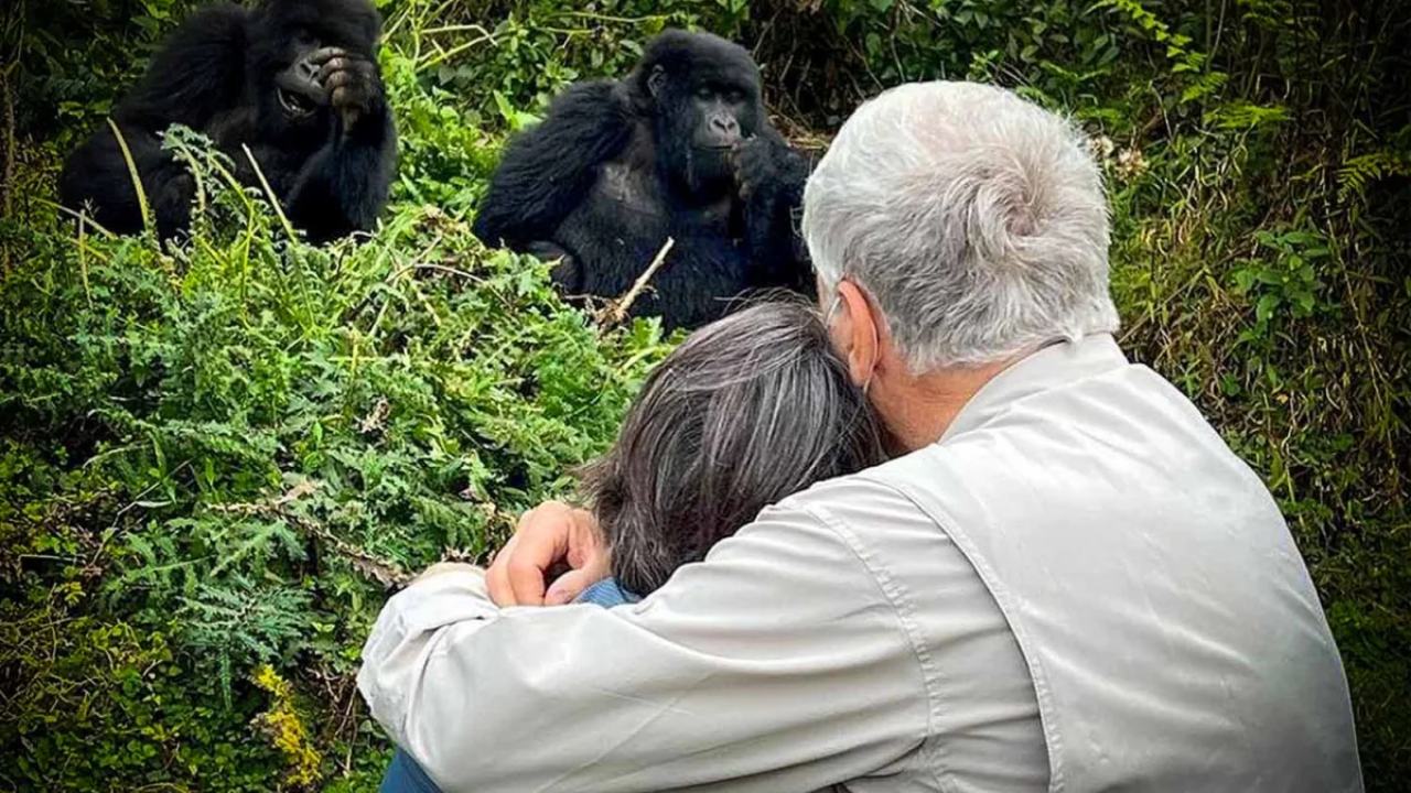 7 Day Tracking Gorillas Uganda